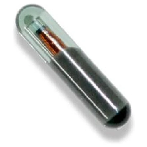 Silca Transponder T6