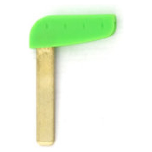 Renault nood groen REVA150