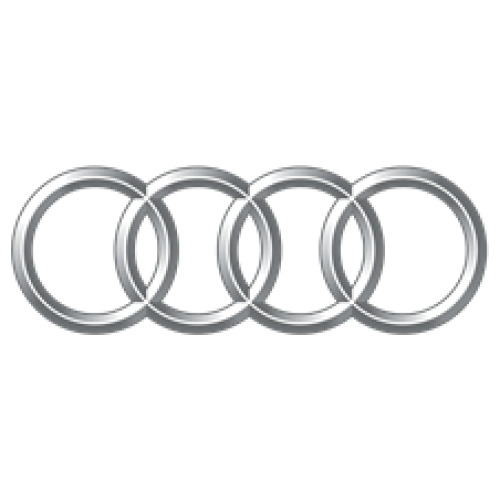 Citroen 2 knops SXRSA2