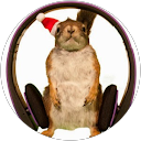 Autosleutel repareren - Car Key House Autosleutel repareren - Car Key House