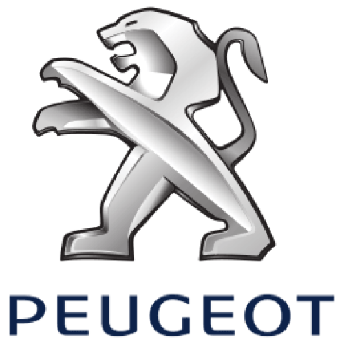 Citroen 2 knops SXRSA2