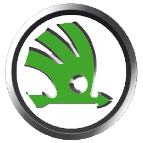 Citroen 2 knops SXRSA2