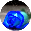 Home - Car Key House Rishi Asakura profielfoto